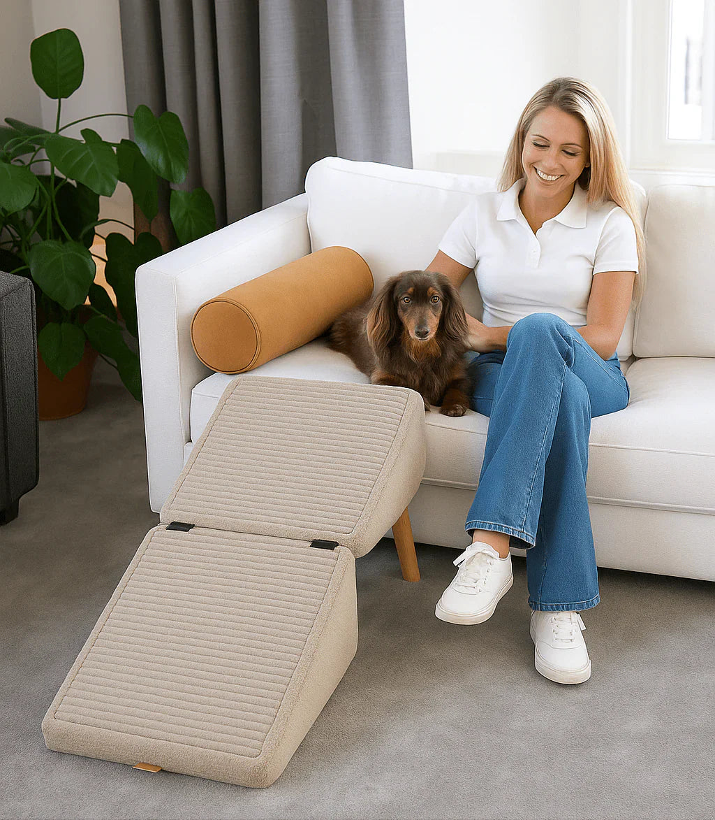 PawStep™ 2-in-1 Ramp